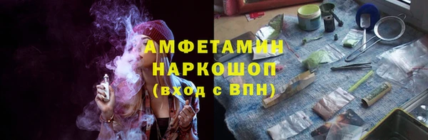 индика Армянск