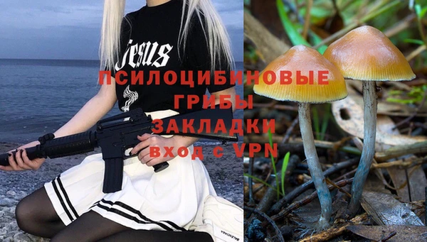 индика Армянск