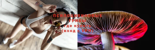 индика Армянск