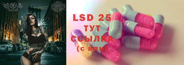круглые Аркадак
