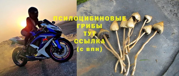 индика Армянск